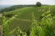 Traktorabenteuer Dettelbach